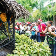 ‘Angels’ Bring Christmas Spirit To Hope Gardens